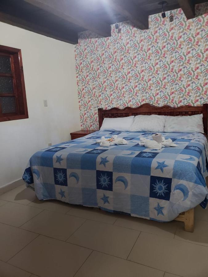 Hotel Arcos Del Carmen San Cristóbal de Las Casas Eksteriør billede